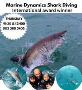 Next Marine Dynamics Shark Cage Diving Trip: 4 May 2023