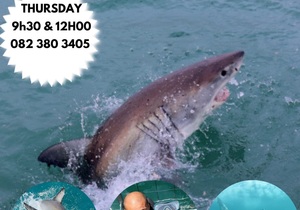Next Marine Dynamics Shark Cage Diving Trip: 4 May 2023
