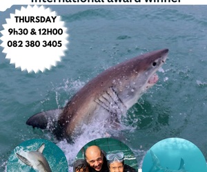 Next Marine Dynamics Shark Cage Diving Trip: 4 May 2023