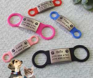 Dog Tag, Engraved, Silicone Band