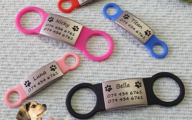 WhatsApp_Image_2023_05_03_at_16.22.09_1683123534