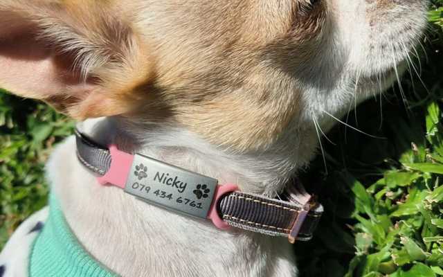 WhatsApp_Image_2023_05_03_at_16.22.16_1683123535