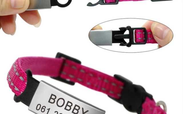 WhatsApp_Image_2023_05_03_at_16.22.16_1__1683123535