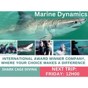 Next Marine Dynamics Shark Cage Diving Trip: 5 May 2023