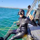 Shark Cage Diving Trip - White Shark Projects - Xplorio™ Gansbaai