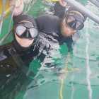 Shark Cage Diving Trip - White Shark Projects - Xplorio™ Gansbaai