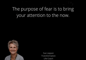 Don't Let Fear Destroy Your Dreams