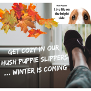 Hush Puppies - Slippers