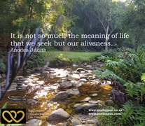 Feel Alive in the Present