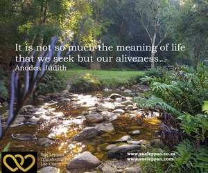 Feel Alive in the Present