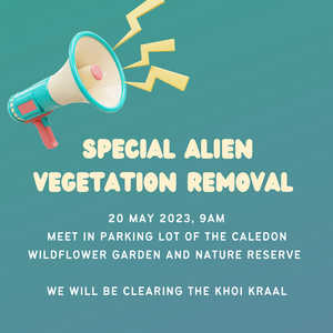 20 May 2023: Alien Vegetation Removal - Beyond Black Mountain - Xplorio ...