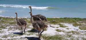 Exploring The Great Outdoors With Seeff Gansbaai