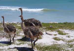 Exploring The Great Outdoors With Seeff Gansbaai