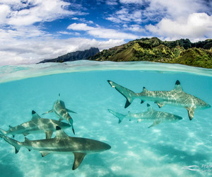 30 May 2023: Marine Evening