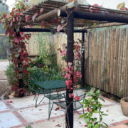 Unique Patio Design in Greyton