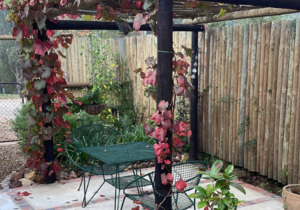 Unique Patio Design in Greyton