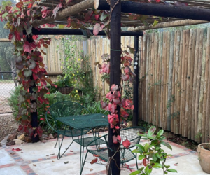 Unique Patio Design in Greyton