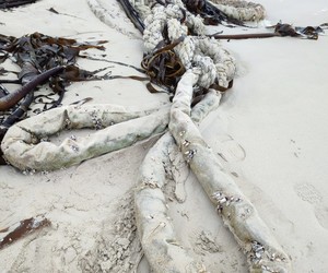 On the Beach: A Ship’s Hawser