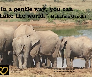 Find Your Serene Power