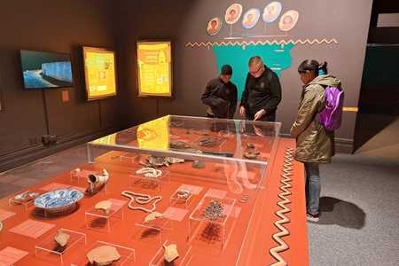 339115361_1341921039985677_4005725268583534126_n_1__1685003074