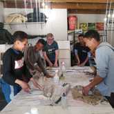 Skills and Mentorship Program for Teenage Boys - Grow Strong - Xplorio™ Grabouw