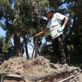 Skills and Mentorship Program for Teenage Boys - Grow Strong - Xplorio™ Grabouw