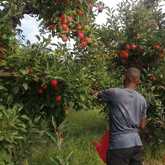 Skills and Mentorship Program for Teenage Boys - Grow Strong - Xplorio™ Grabouw