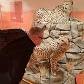 Skills and Mentorship Program for Teenage Boys - Grow Strong - Xplorio™ Grabouw