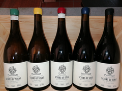 Now in Stock: Scions of Sinai!