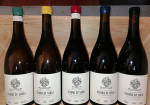 Now in Stock: Scions of Sinai!