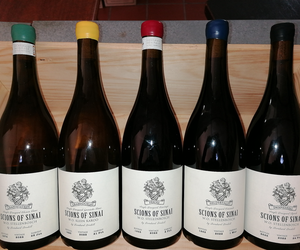 Now in Stock: Scions of Sinai!