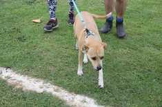 Groeneweide_parkrun_14_1685016673