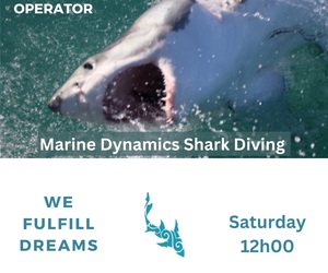 Next Marine Dynamics Shark Cage Diving Trip: 27 May 2023
