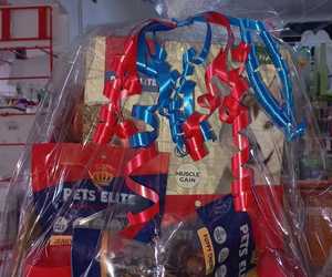 Competition Time: Pets Elite Gift Pack