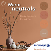 Prominent Paints: Warm Neutrals for Autumn