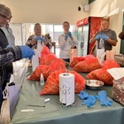 Oyster Mushroom Grow Workshop - Tahini Deli - Xplorio™ Kleinmond