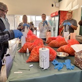 Oyster Mushroom Grow Workshop - Tahini Deli - Xplorio™ Kleinmond