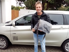 Transporting Famous Musician Valiant Swart