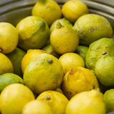 Fresh Produce - Tahini Deli - Xplorio™ Kleinmond