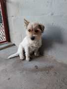 Blankets Needed for Winter