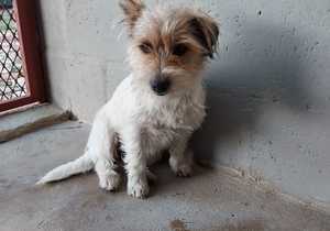 Blankets Needed for Winter