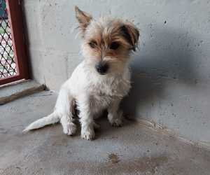 Blankets Needed for Winter