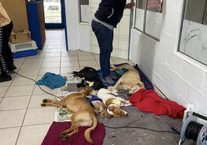 Monthly Sterilization Day