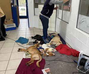 Monthly Sterilization Day