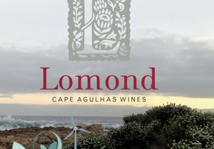 Lomond Named Social Responsibility and Environment Champion