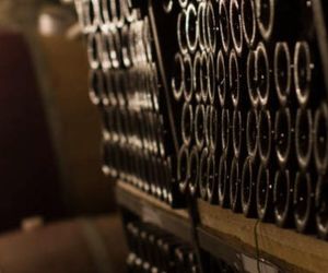 Introducing: The Lomond Vinothèque