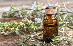 22 June 2023: Essential Oils for Beginners