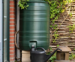 Rainwater Harvesting Tank