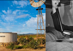 Now in Stock: Eenzaamheid!