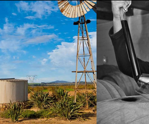 Now in Stock: Eenzaamheid!